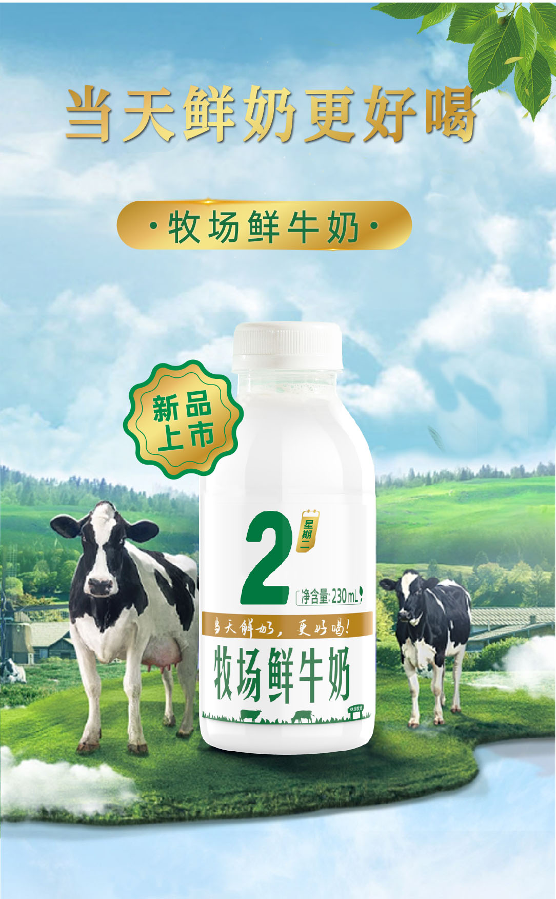 111牧场鲜牛奶-海报_画板 1(3).jpg