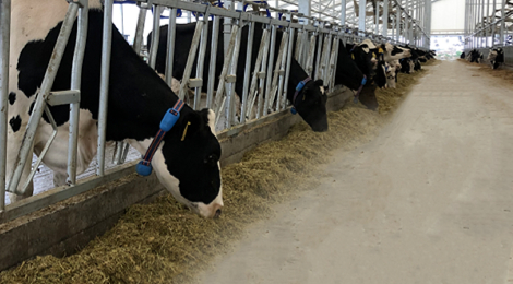 2121非凡·(中国游)体育官方网站